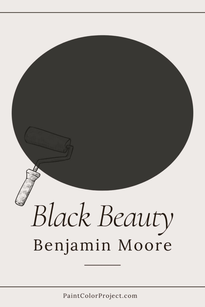 Benjamin Moore Black Beauty