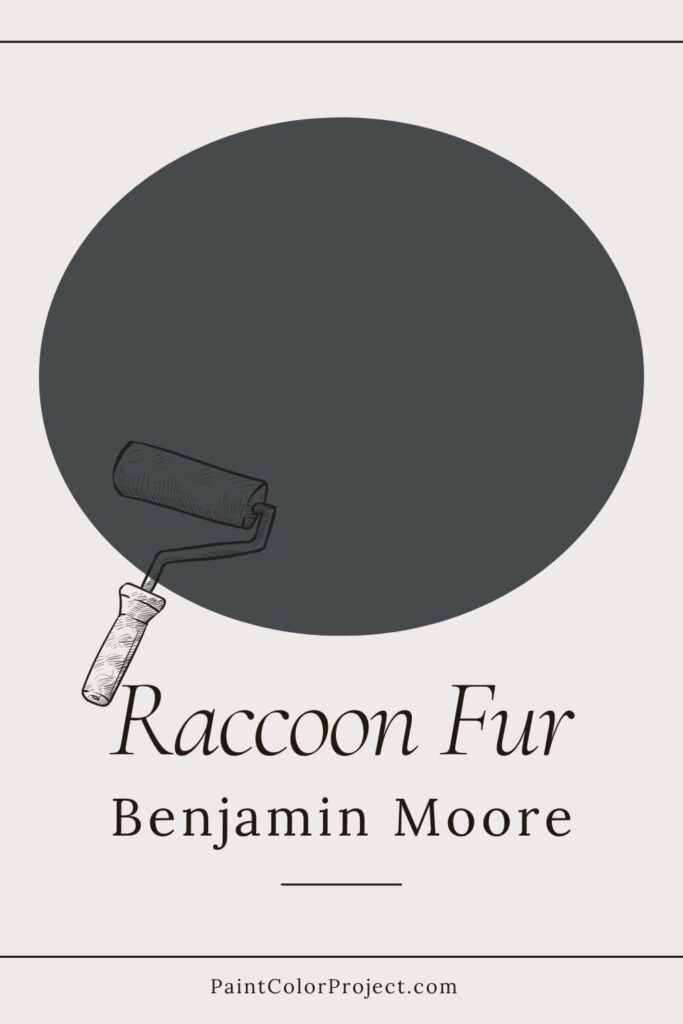 Benjamin Moore Raccoon Fur