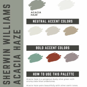 Sherwin Williams Acacia Haze Paint Color Palette