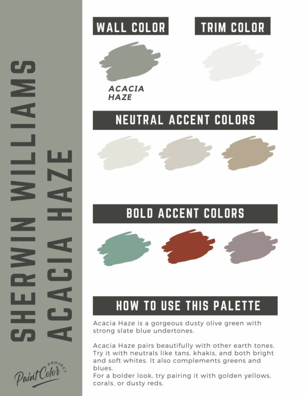 Sherwin Williams Acacia Haze Paint Color Palette