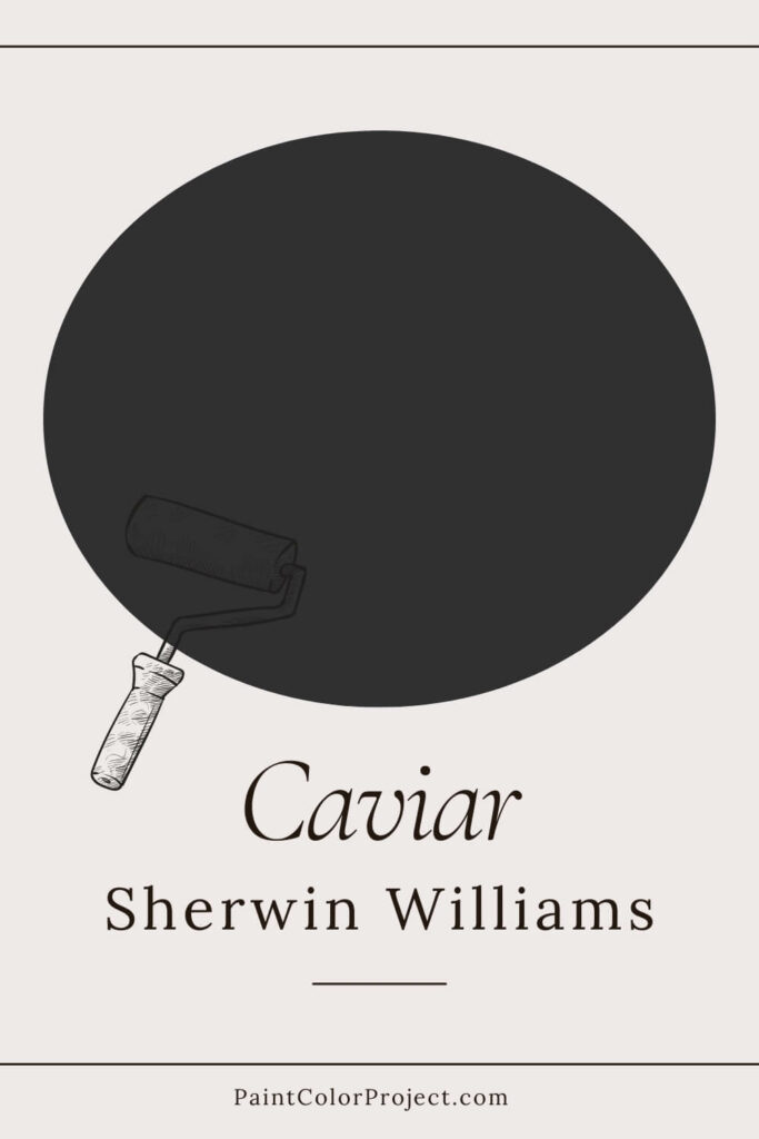 Sherwin Williams Caviar