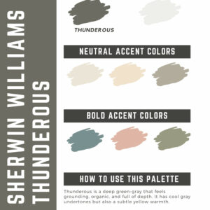 Sherwin Williams Thunderous Paint Color Palette