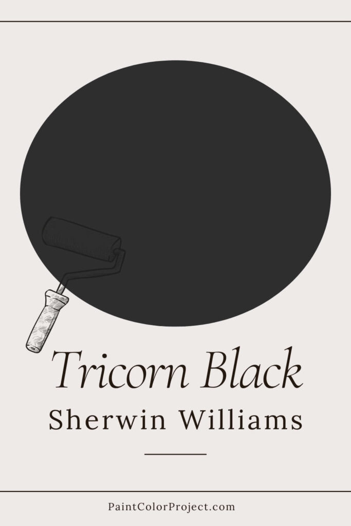 Sherwin Williams Tricorn Black