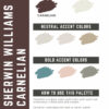 Sherwin Williams Carnelian Paint Color Palette