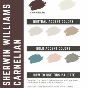 Sherwin Williams Carnelian Paint Color Palette