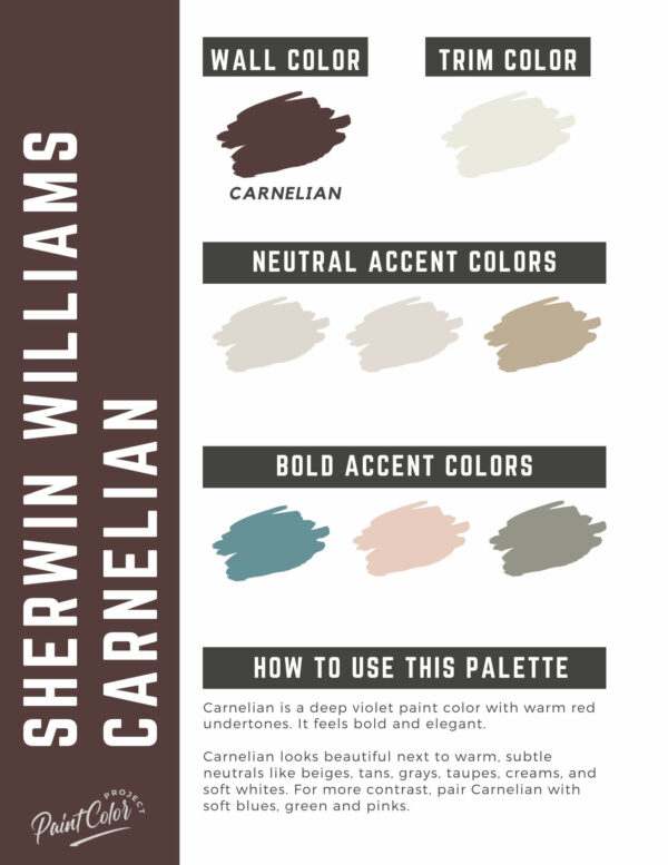Sherwin Williams Carnelian Paint Color Palette