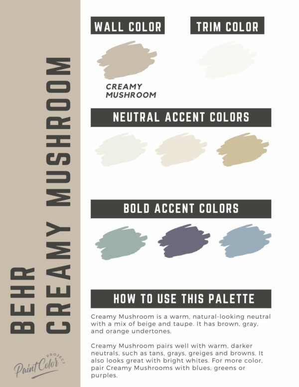Behr Creamy Mushroom Paint Color Palette