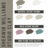 Sherwin Williams Studio Clay Paint Color Palette