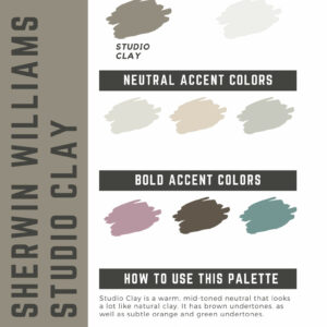 Sherwin Williams Studio Clay Paint Color Palette