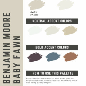 Benjamin Moore Baby Fawn Paint Color Palette