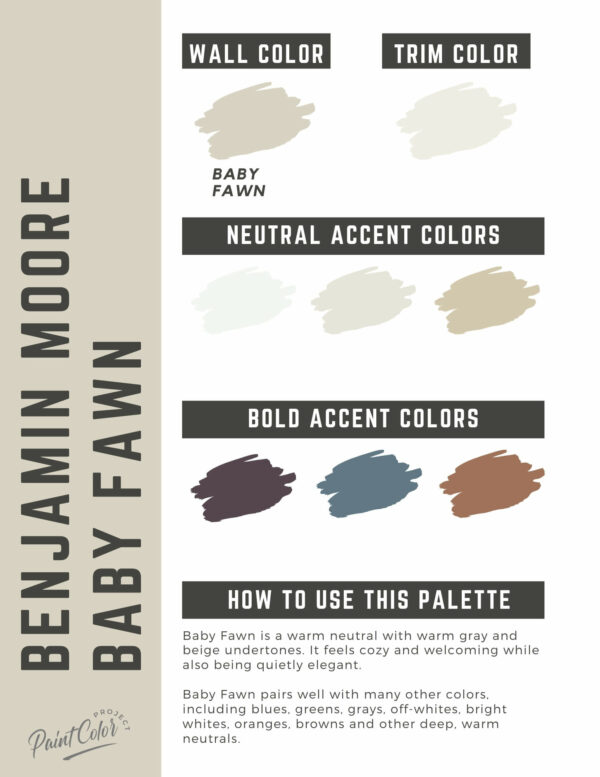 Benjamin Moore Baby Fawn Paint Color Palette