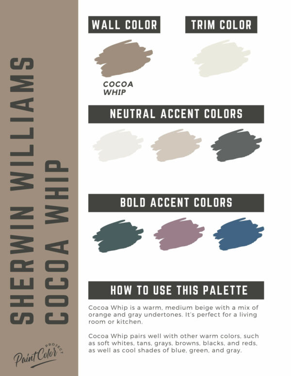 Sherwin Williams Cocoa Whip Paint Color Palette