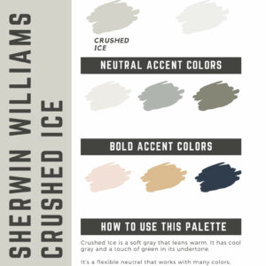 Sherwin Williams Crushed Ice Paint Color Palette