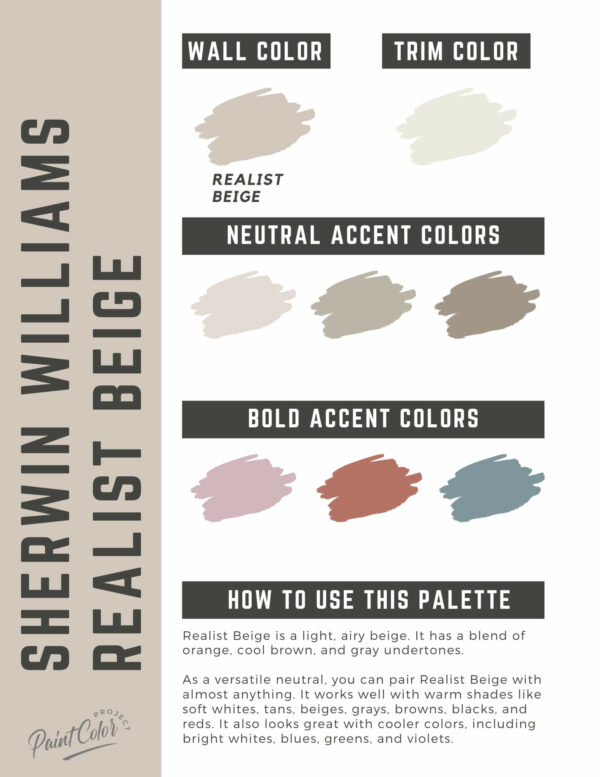 Sherwin Williams Realist Beige Paint Color Palette