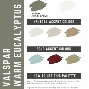 Valspar Warm Eucalyptus Paint Color Palette