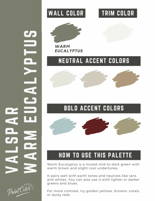Valspar Warm Eucalyptus Paint Color Palette