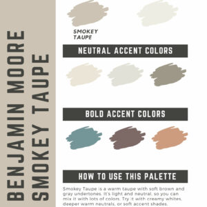 Benjamin Moore Smokey Taupe Paint Color Palette