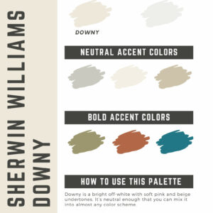 Sherwin Williams Downy Paint Color Palette