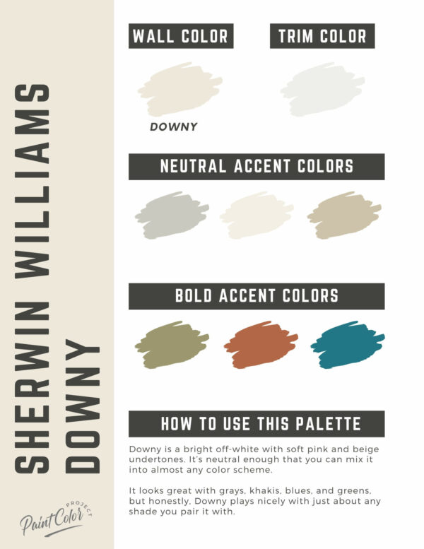 Sherwin Williams Downy Paint Color Palette