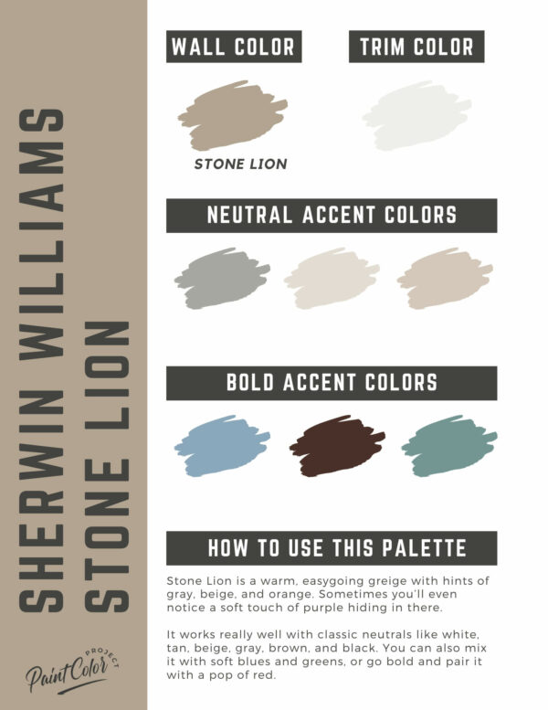 Sherwin Williams Stone Lion Paint Color Palette