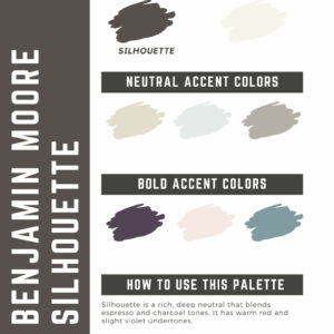 Benjamin Moore Silhouette Paint Color Palette