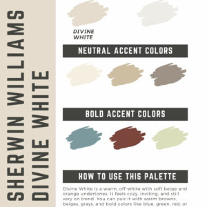 Sherwin Williams Divine White Paint Color Palette