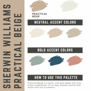Sherwin Williams Practical Beige Paint Color Palette