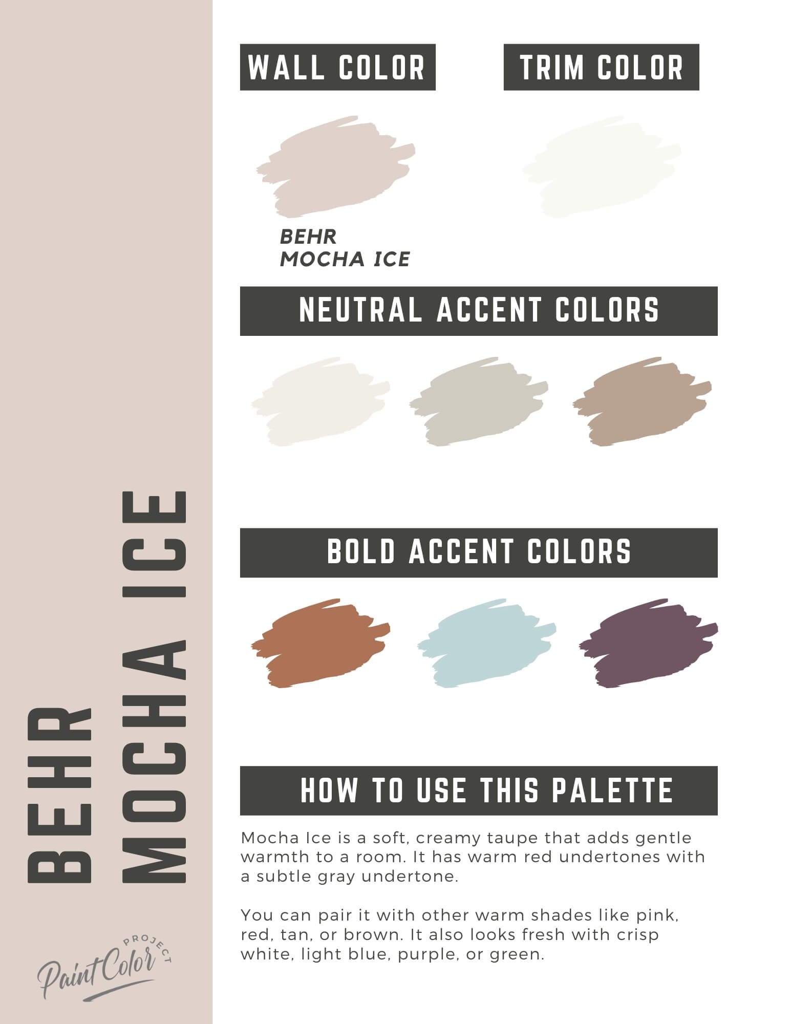 Behr Mocha Ice Paint Color Palette