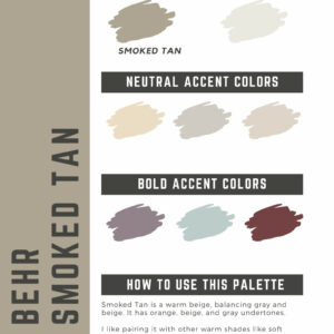 Behr Smoked Tan Paint Color Palette