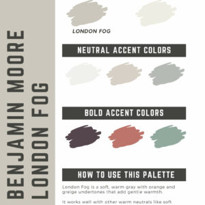 Benjamin Moore London Fog Paint Color Palette