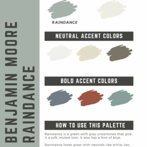 Benjamin Moore Raindance Paint Color Palette