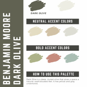 Benjamin Moore Dark Olive Paint Color Palette