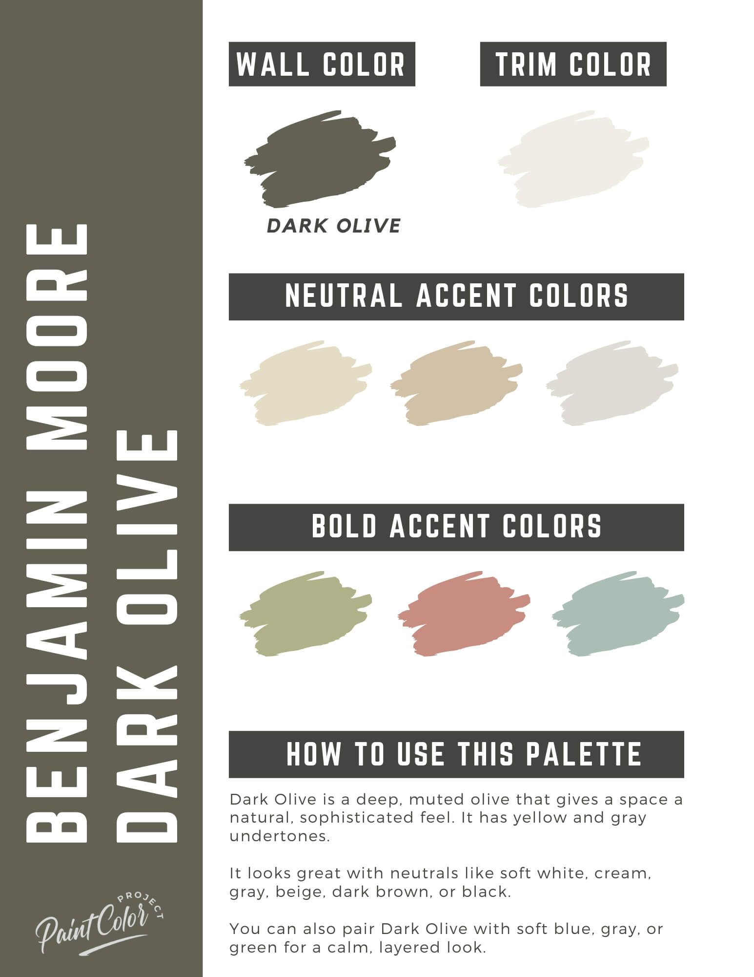 Benjamin Moore Dark Olive Paint Color Palette