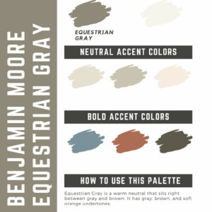 Benjamin Moore Equestrian Gray Paint Color Palette