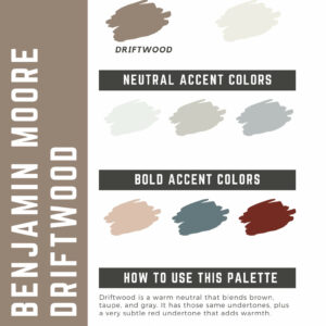 Benjamin Moore Driftwood Paint Color Palette