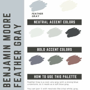 Benjamin Moore Feather Gray Paint Color Palette