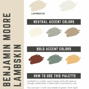 Benjamin Moore Lambskin Paint Color Palette