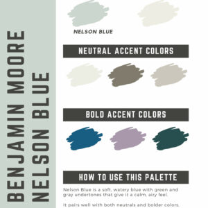 Benjamin Moore Nelson Blue Paint Color Palette
