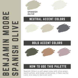 Benjamin Moore Spanish Olive Paint Color Palette