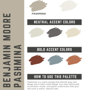 Benjamin Moore Pashmina Paint Color Palette