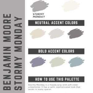 Benjamin Moore Stormy Monday Paint Color Palette