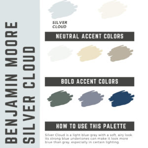 Benjamin Moore Silver Cloud Paint Color Palette